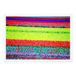 Ampliación de la foto