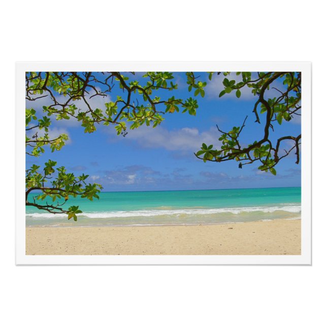 Ampliación de la foto (Frente)