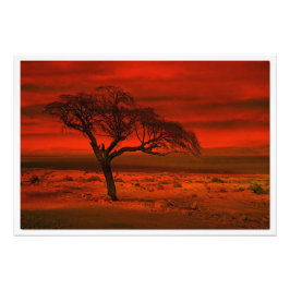 Ampliación de la foto