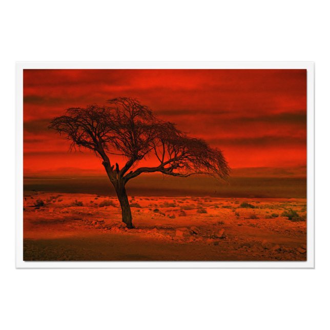 Ampliación de la foto (Frente)