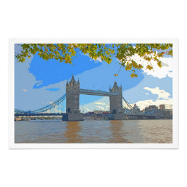 Ampliación de la foto