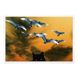 Ampliación de la foto