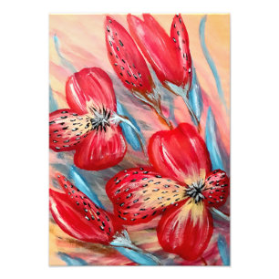 Ampliación de la foto