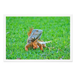 Ampliación de la foto