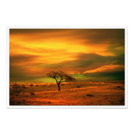 Ampliación de la foto