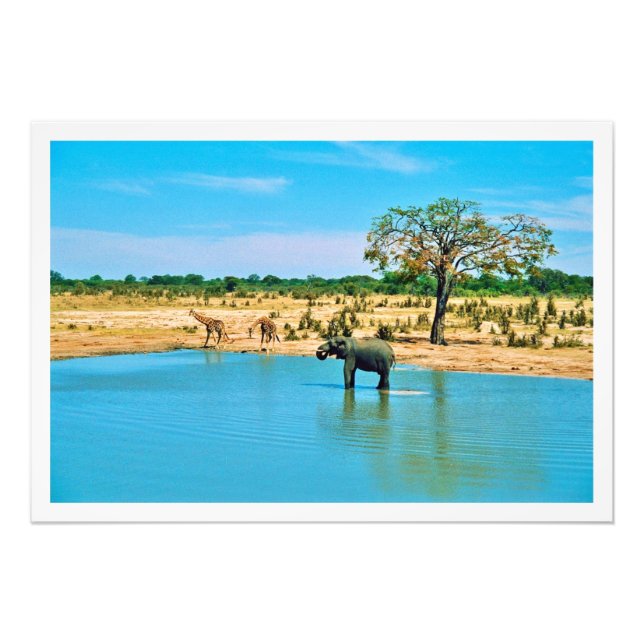 Ampliación de la foto (Frente)