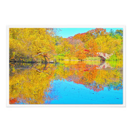 Ampliación de la foto