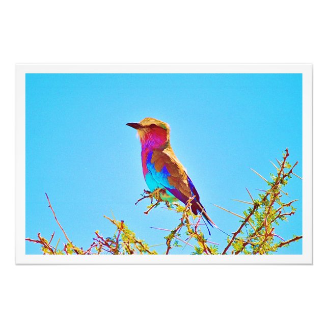 Ampliación de la foto (Frente)