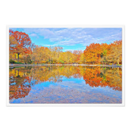 Ampliación de la foto