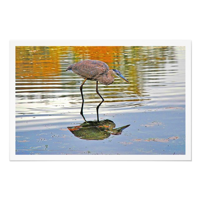 Ampliación de la foto (Frente)