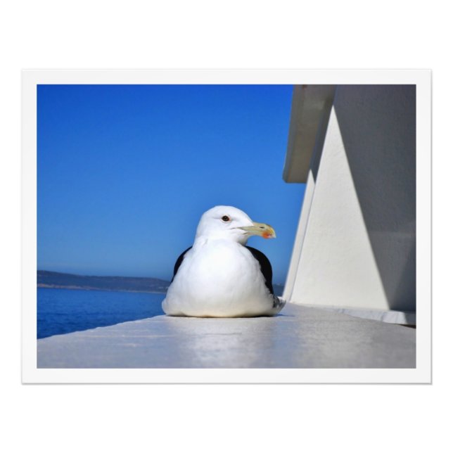 Ampliación de la foto (Frente)