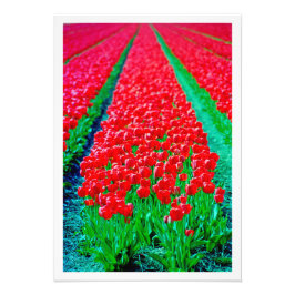 Ampliación de la foto