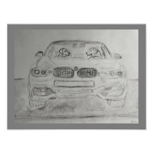 Ampliación de la foto