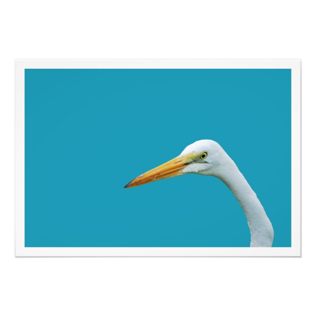 Ampliación de la foto (Frente)