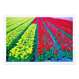 Ampliación de la foto