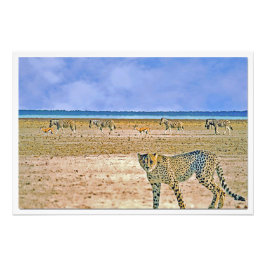 Ampliación de la foto