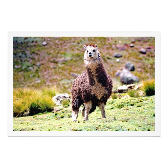 Ampliación de la foto (Frente)