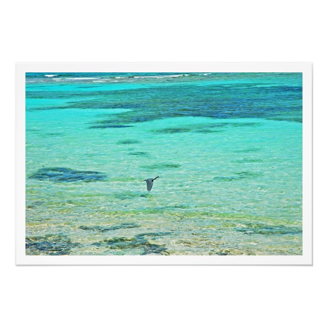 Ampliación de la foto (Frente)