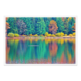 Ampliación de la foto