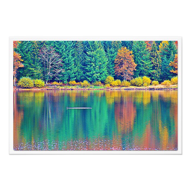 Ampliación de la foto (Frente)