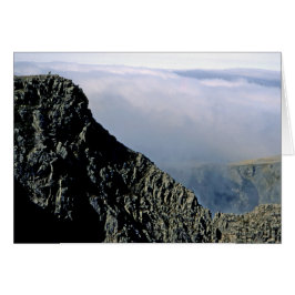 Ampliación de la foto