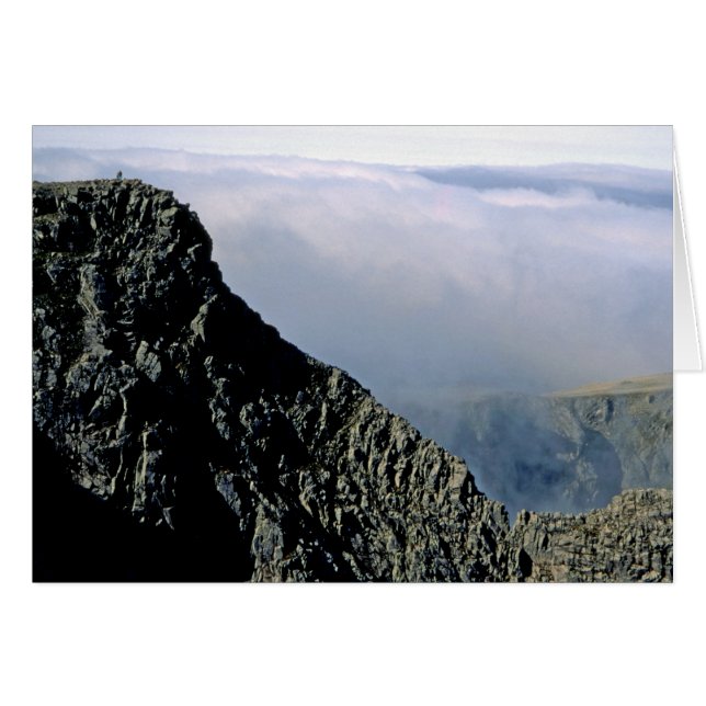 Ampliación de la foto (Anverso (Horizontal))