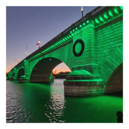 Ampliación de la foto