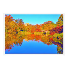 Ampliación de la foto