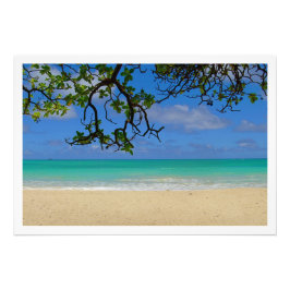 Ampliación de la foto