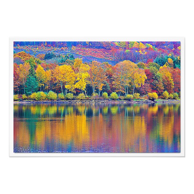 Ampliación de la foto (Frente)