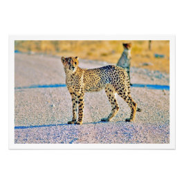 Ampliación de la foto