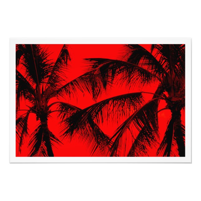 Ampliación de la foto (Frente)