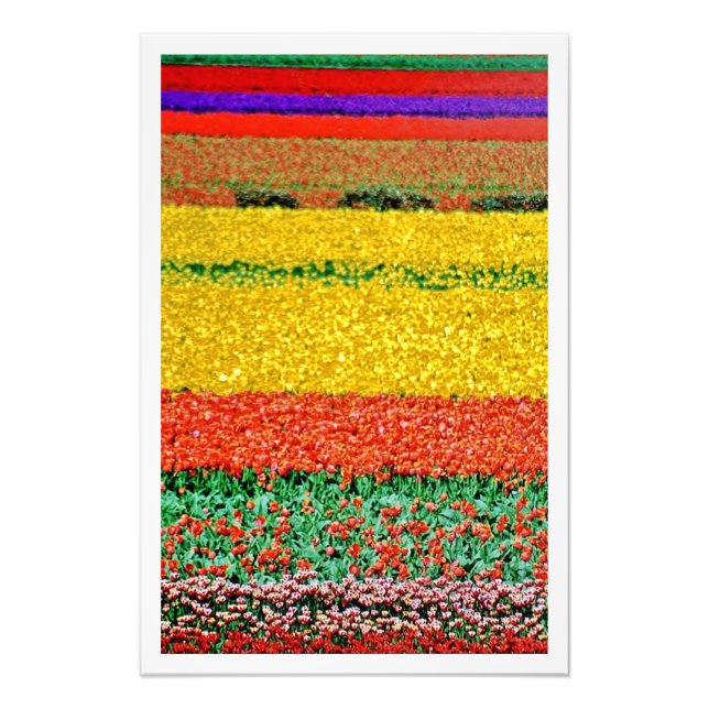 Ampliación de la foto (Frente)