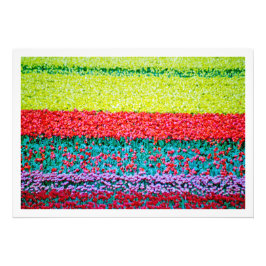 Ampliación de la foto