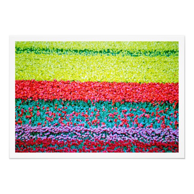 Ampliación de la foto (Frente)