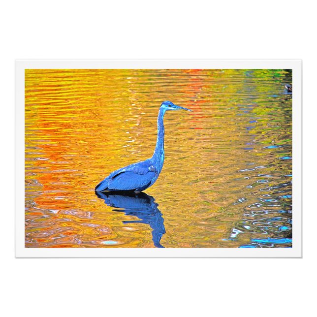 Ampliación de la foto (Frente)