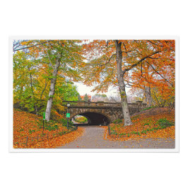 Ampliación de la foto