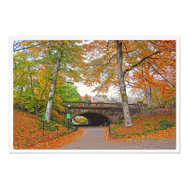 Ampliación de la foto (Frente)