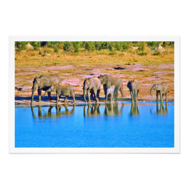 Ampliación de la foto