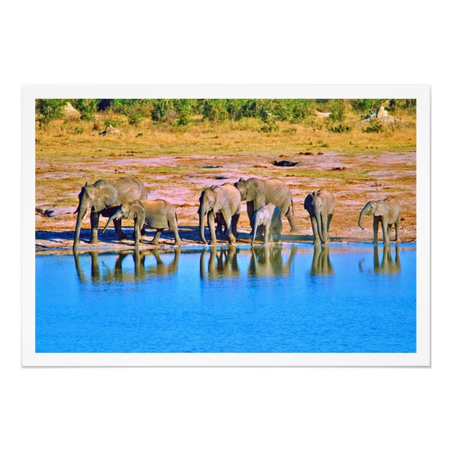 Ampliación de la foto (Frente)