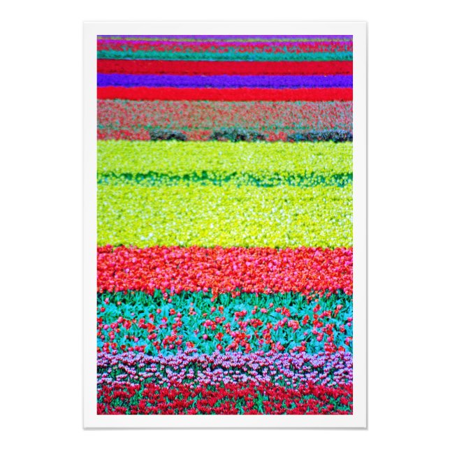 Ampliación de la foto (Frente)