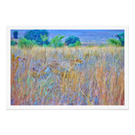 Ampliación de la foto