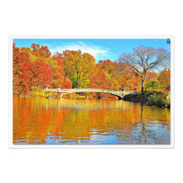 Ampliación de la foto