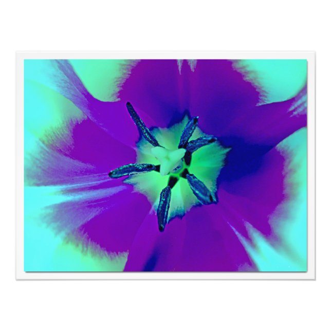 Ampliación de la foto (Frente)