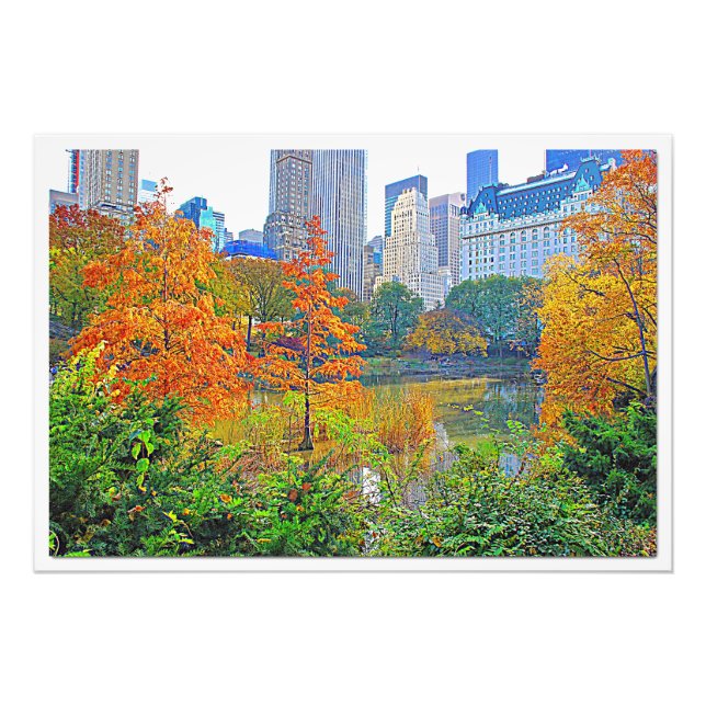 Ampliación de la foto (Frente)