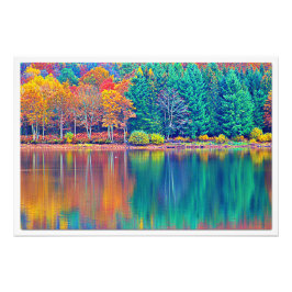 Ampliación de la foto