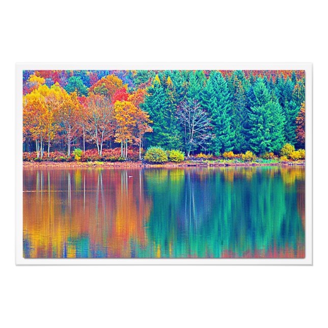 Ampliación de la foto (Frente)