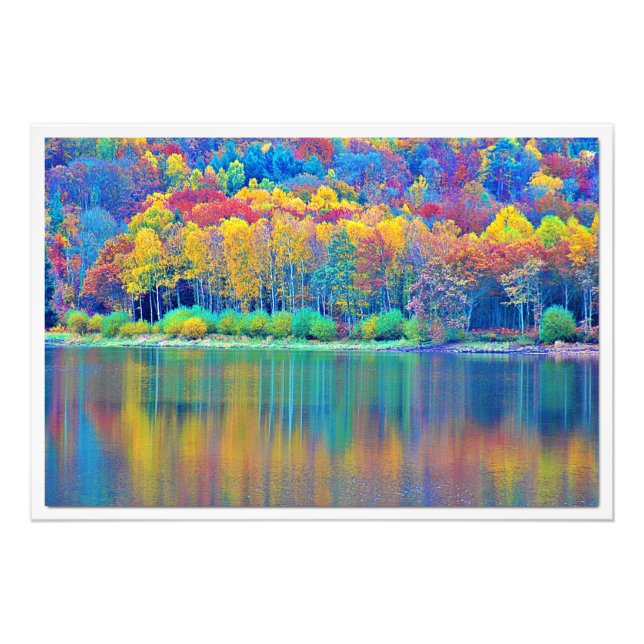 Ampliación de la foto (Frente)