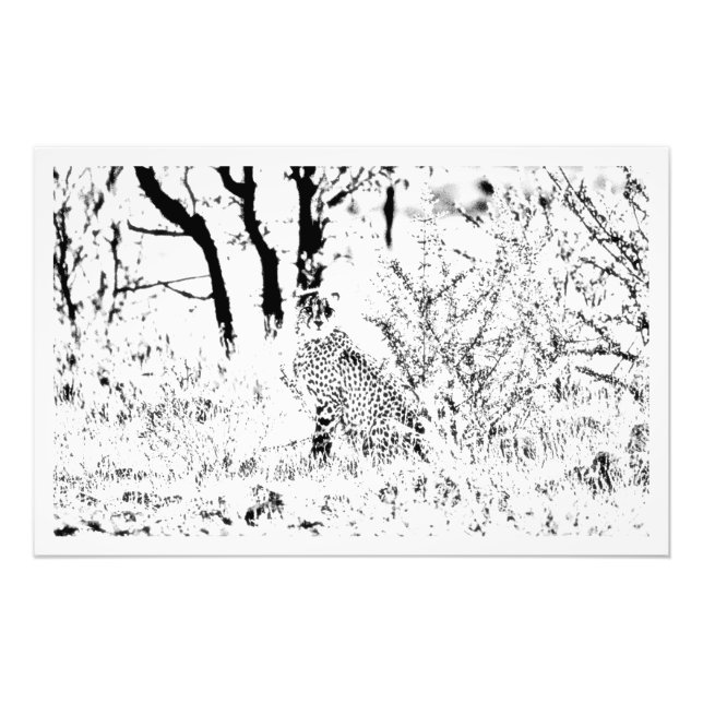 Ampliación de la foto (Frente)