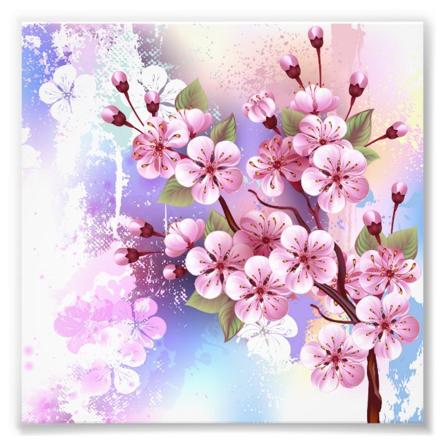 Ampliación de la foto (Frente)